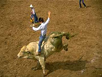 Cal-Farleys-Boys-Ranch---Amarillo_CVC.jpg