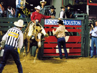Rodeo.jpg