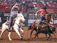 rodeo-houston.jpg