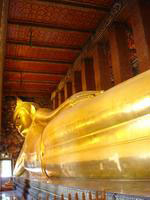 bangkok-watpho-buddha.jpg