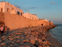 hammamet-medinawall.jpg