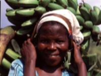 MarketLady-UTB.jpg