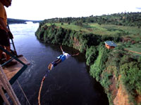 bungeejump-UTB.jpg