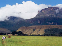 canaima_national_park.jpg