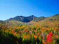 Fall-cKillington_Ltd.jpg