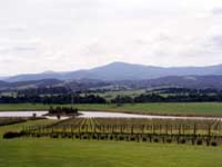 Yarra_Valley.jpg