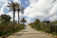 Algiers photo