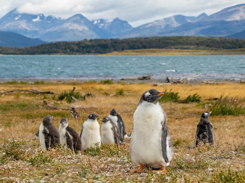 Tierra del Fuego photo