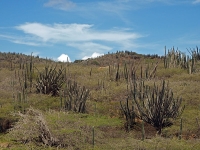 Arikok National Park photo