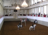 Spanish Riding School photo