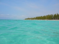 Grand Bahama Island photo