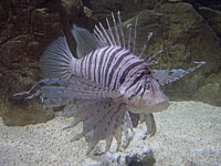 Folkestone Marine Park photo