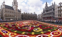 Brussels Flower Show photo