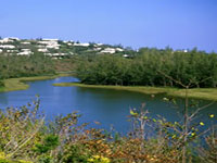 Spittal Pond Nature Reserve photo