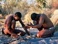 Central Kalahari Game Reserve photo