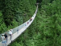 Capilano Suspension Bridge photo