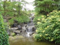 VanDusen Botanical Garden photo