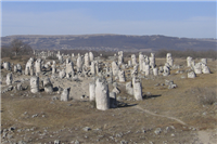 Petrified Forest photo