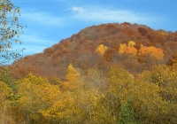 Vitosha Mountain photo