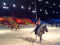 Medieval Times photo