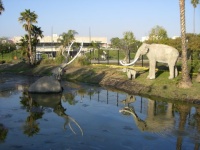 La Brea Tar Pits photo