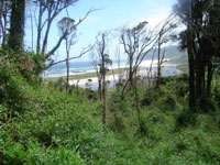 Parque Nacional Chiloe photo