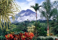 Northwest Costa Rica photo