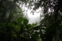 Monteverde photo