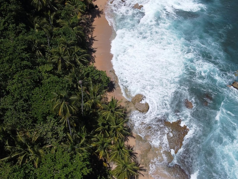 Cahuita National Park photo