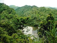 Parque Nacional Alejandro de Humboldt photo