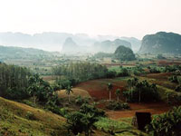 Viñales Botanical Garden photo