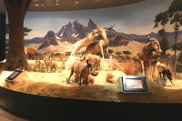 Delaware Museum of Natural History photo