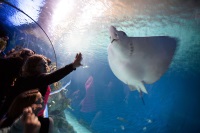 Denmark Aquarium photo