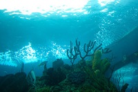 National Aquarium photo