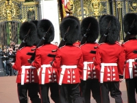 Changing of the Guard photo