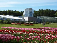 Tallinn Botanical Gardens photo