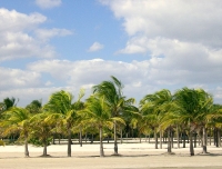 Crandon Park Beach photo