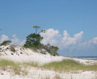 Gulf Islands National Seashore photo