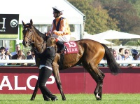 Prix de l'Arc de Triomphe photo