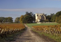 Bordeaux Wine Country photo
