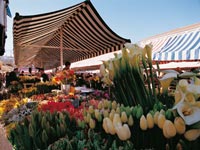 Cours Saleya Food and Flower Market photo