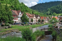 The Black Forest photo