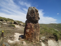 Petrified Forest of Sigri photo