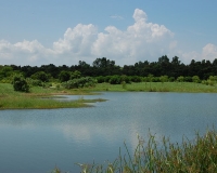 Hong Kong Wetland Park photo