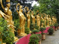 Ten Thousand Buddhas Monastery photo