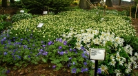 Botanical Gardens photo