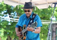 Chicago Blues Festival photo