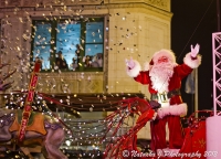 Magnificent Mile Lights Festival photo