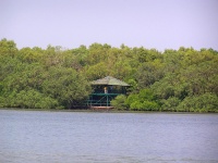 Dr Salim Ali Bird Sanctuary photo