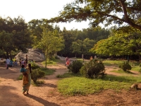 Cubbon Park photo